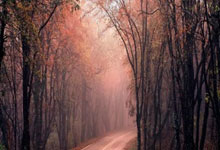 米兰体育官网：西哈姆前锋安东尼奥遇车祸送院 情况稳定.