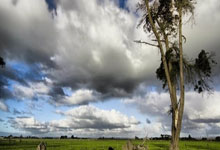 米兰体育官网：水球——U20亚锦赛：中国胜新加坡.