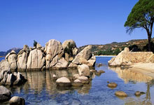 米兰体育官网：维尔纳破门萨尔进球 联赛杯热刺淘汰曼城晋级八强.